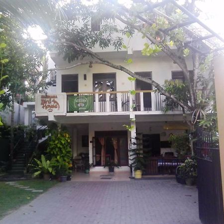 Bird House Unawatuna Ngoại thất bức ảnh